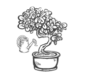Elever et cultiver un bonsaï